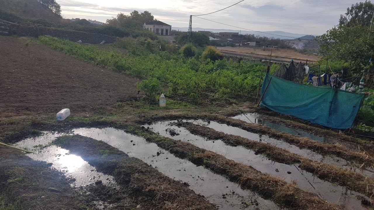 El Sitio De Su Recreo Jerez De Los Caballeros Exterior foto